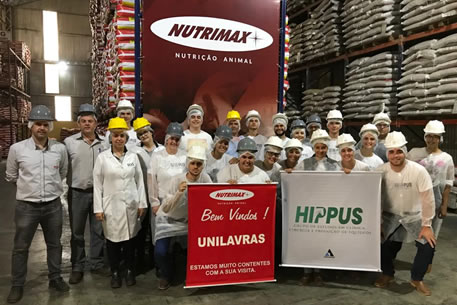 Responabilidade Social